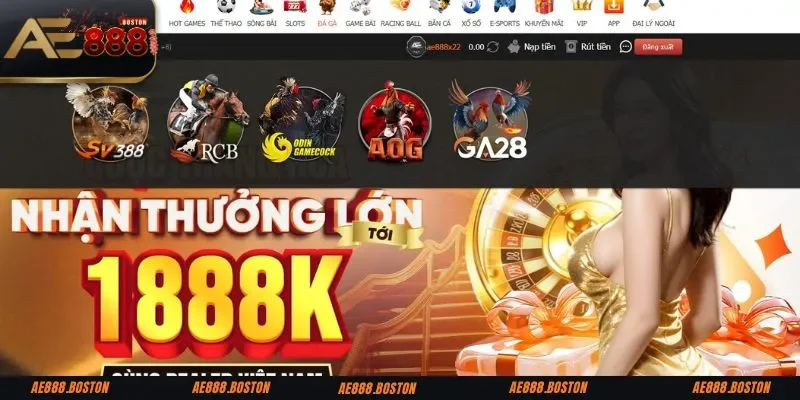 Khám phá trang đá gà AE888 hấp dẫn hiện nay