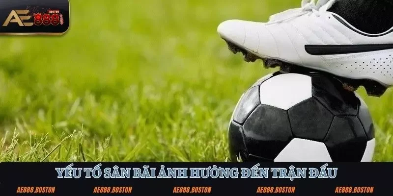 Kinh Nghiệm Đánh Kèo Đồng Banh: Bí Quyết Từ Cao Thủ AE888 kinh nghiệm đánh kèo đồng banh đặc biệt ảnh hưởng đến trận đấu